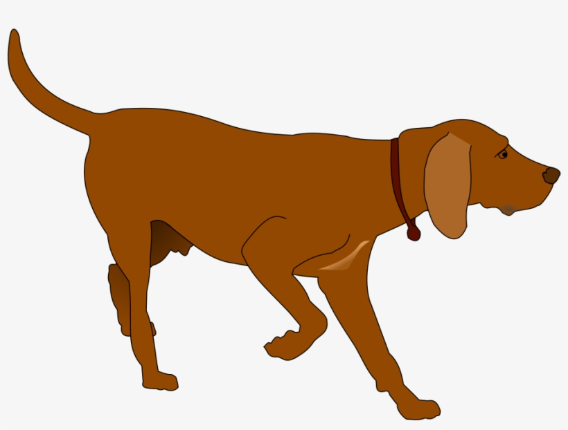 German Shorthaired Pointer Clipart At Getdrawings, transparent png download