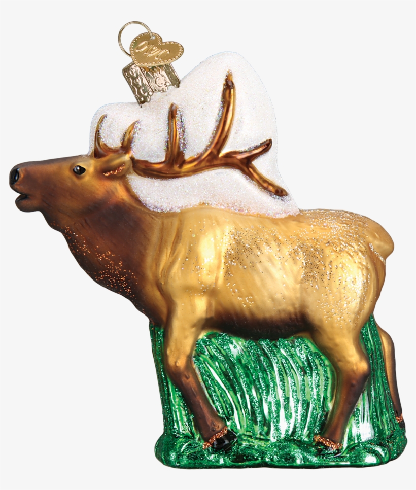 Elk Png, transparent png download