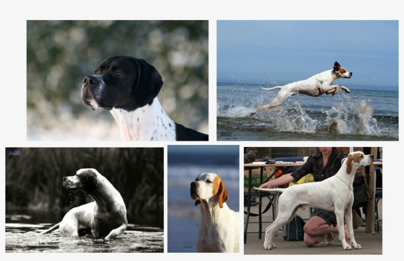 Pointers Png, transparent png download