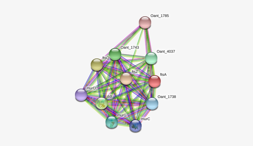 Septum Ring Png, transparent png download