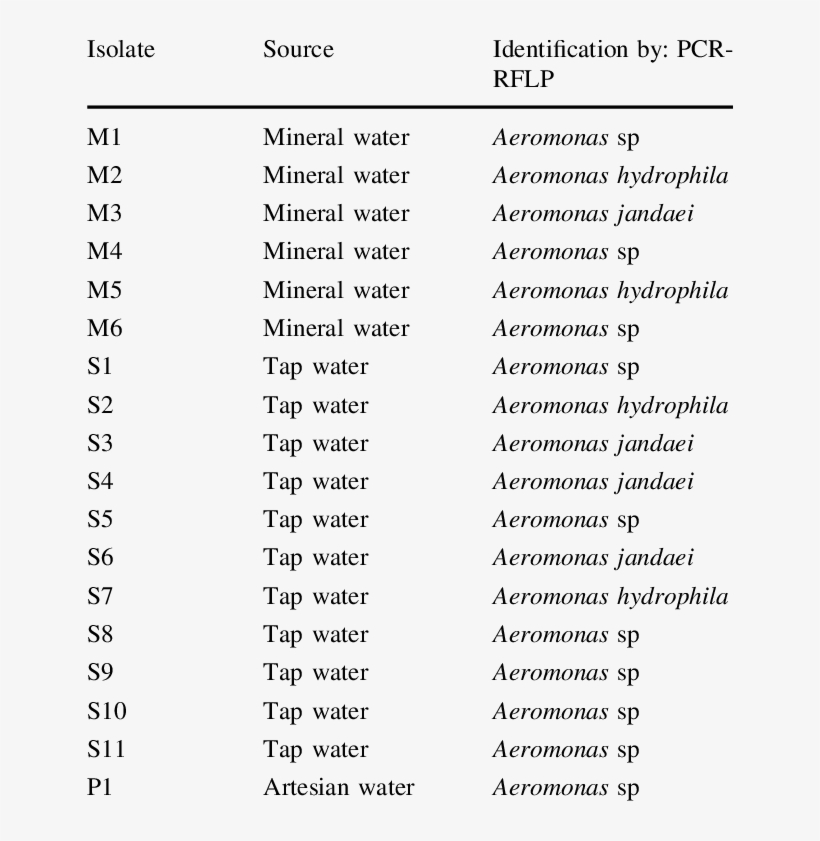 Strains Characteristics Of Aeromonas Strains Isolated, transparent png download