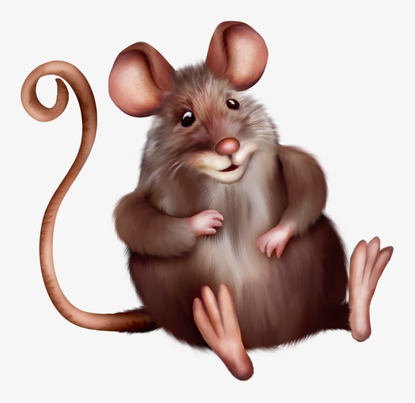 Яндекс - Фотки, transparent png download