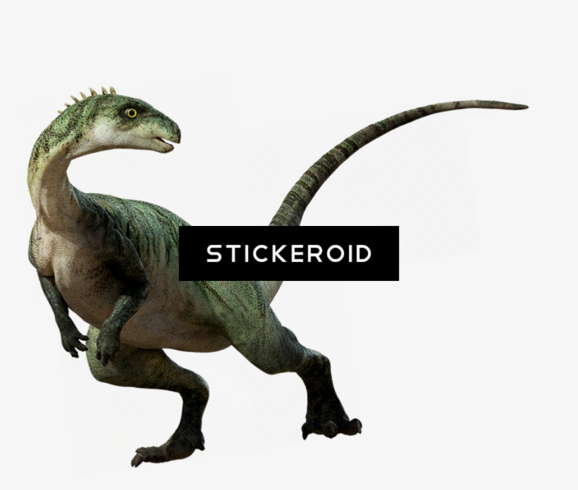 Dino Dinosaur, transparent png download
