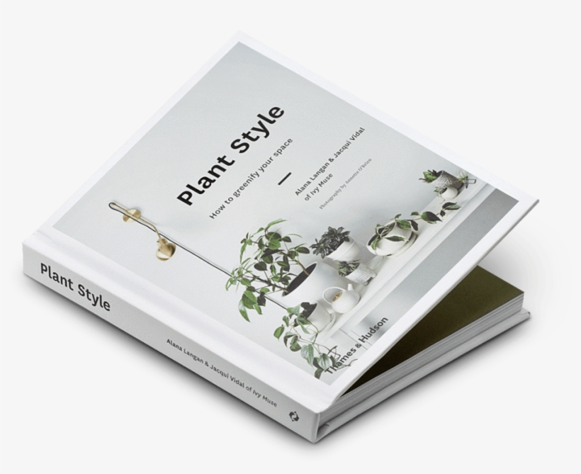 How To Greenify Your Space, transparent png download