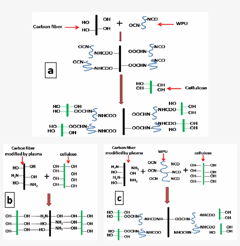Schematic Of Interactions In Cf-based Paper, transparent png download