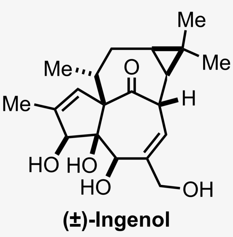 Intermediate Structure, transparent png download