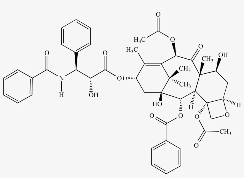 Ho Oh Png, transparent png download