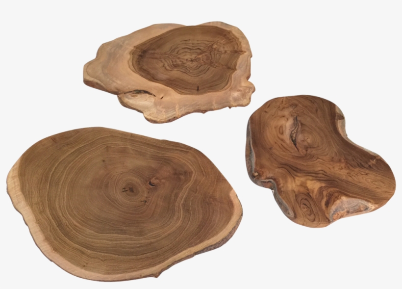 Wood Scape Slice, transparent png download