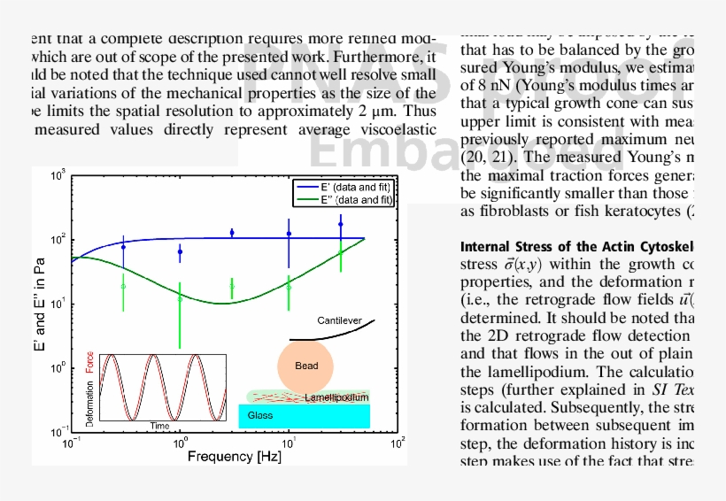 Rheological Measurements Of The Frequency Dependent, transparent png download
