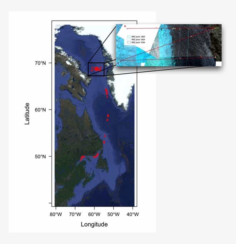 Transect And Sentinel2 Credit, transparent png download