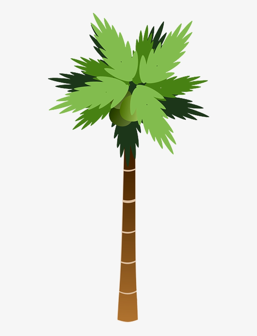 Png Coqueiro, transparent png download