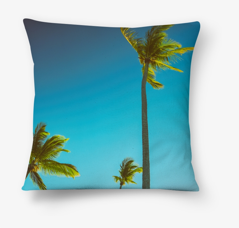 Almofada Coqueiros, transparent png download