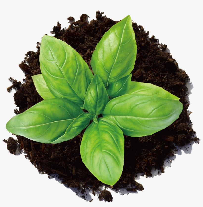 Hop Organic Compost, transparent png download