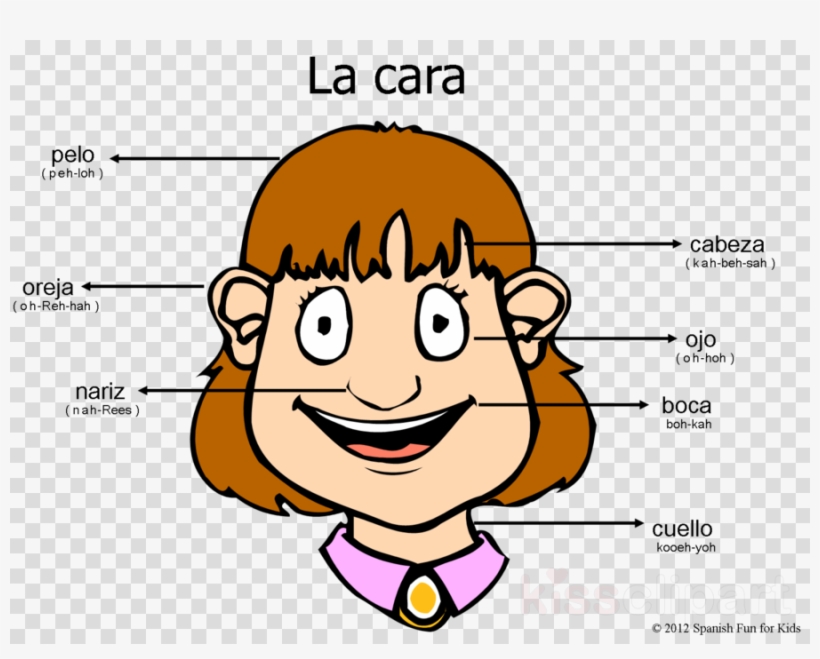 Nariz Png, transparent png download