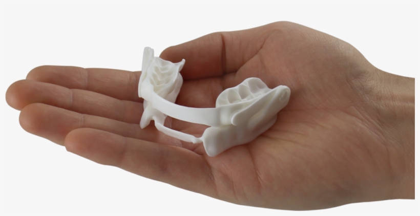 Nariz Png, transparent png download