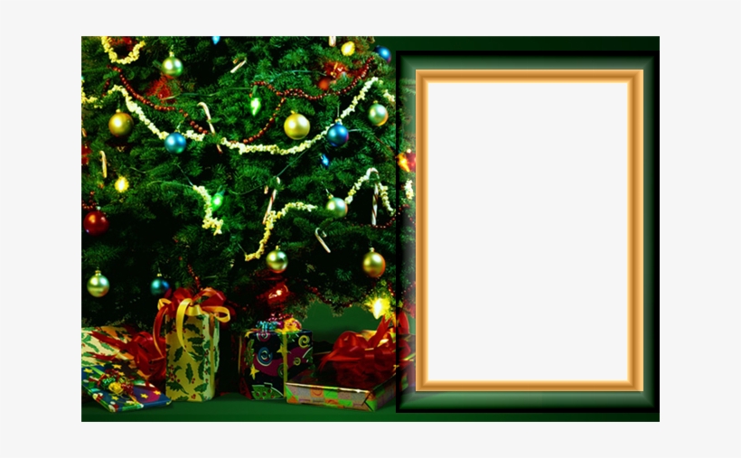 Frame-93 - Christmas Tree - (region 1 Import Dvd), transparent png download