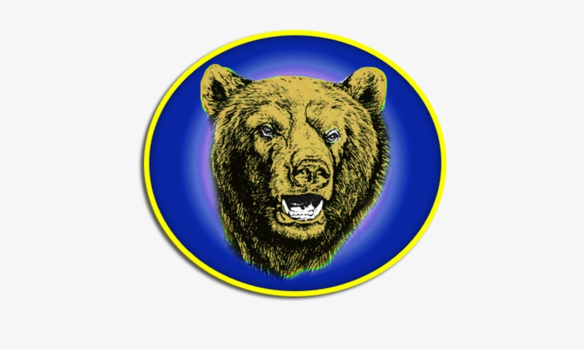 Bear Head, transparent png download