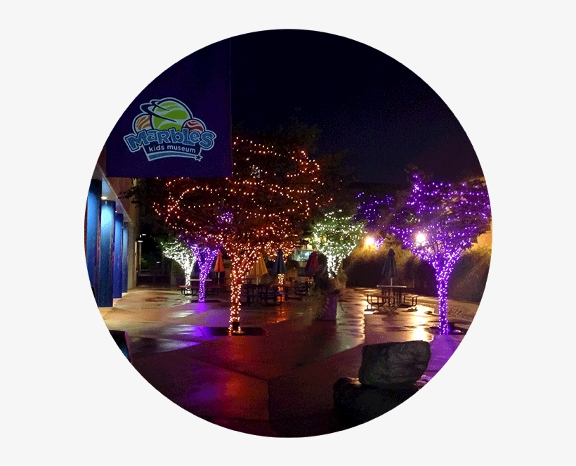 Holiday Lighting - North Carolina, transparent png download