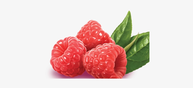 Raspberry Download Png - Snapple Raspberry Iced Tea K-cups 88 Count, transparent png download