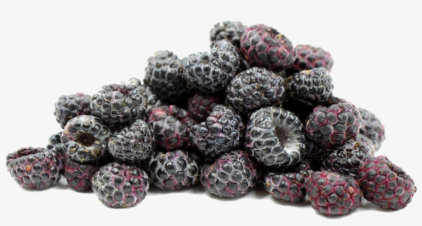 Black Raspberries Png File - Black Rasberry Png, transparent png download