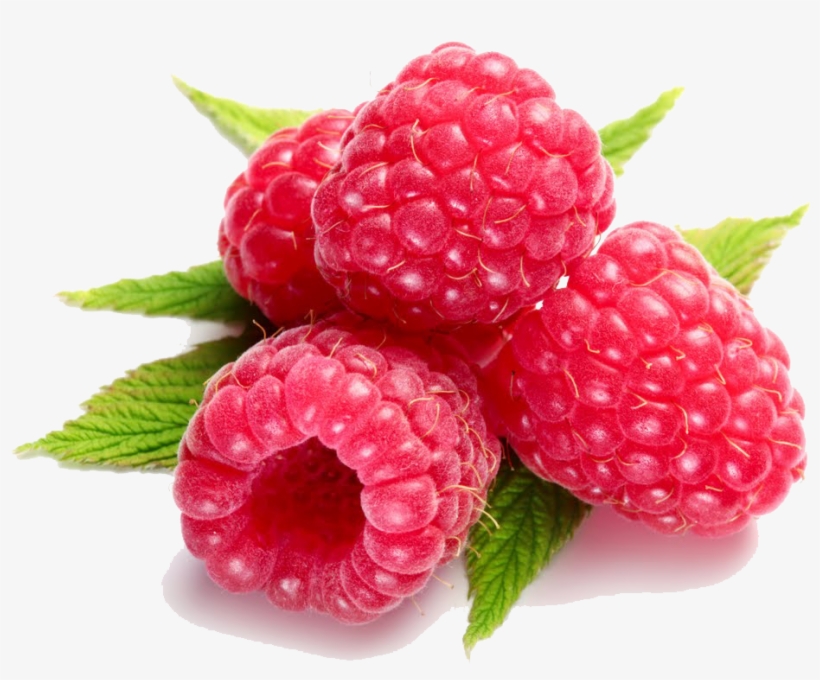 Vector Library Stock Download Background For Designing - Raspberry Transparent Background, transparent png download