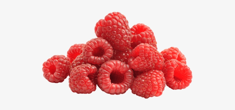 Raspberries - American Red Raspberry, transparent png download