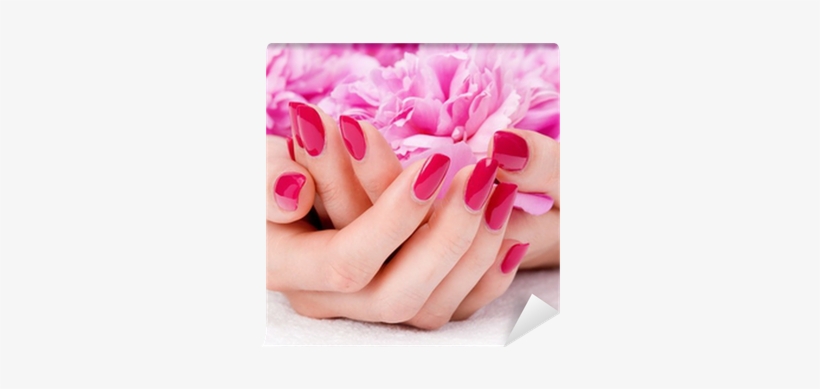 Woman Cupped Hands With Manicure Holding A Pink Flower - Classic Manicure And Pedicure, transparent png download