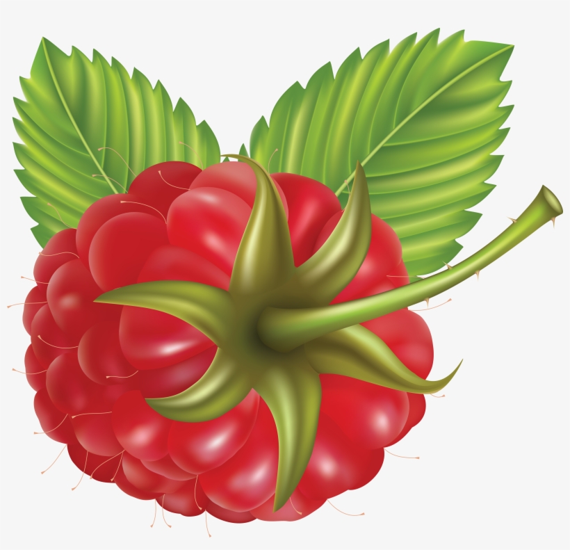 Rraspberry Png Image - Vector, transparent png download