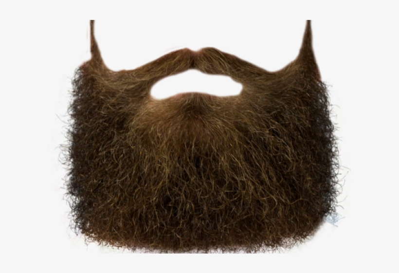 Moustache Png Transparent Images - Beard Clip Art Png, transparent png download
