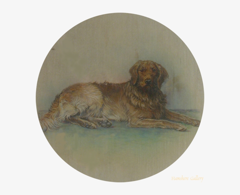 Click To See Full Size - Golden Retriever, transparent png download