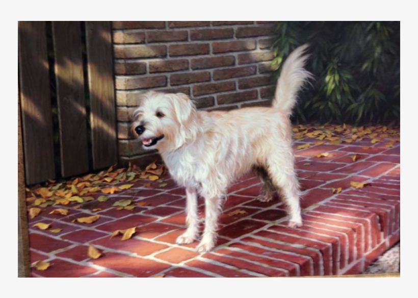 Ahmad Haraji, transparent png download