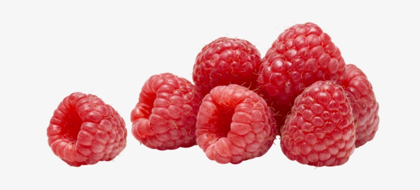 Hansens Raspberry Soda 12 Ounce Cans Pack, transparent png download