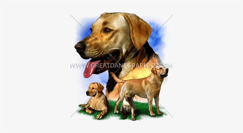Golden Retriever - Dog, transparent png download