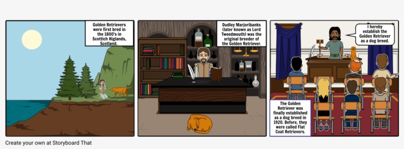 Golden Retrievers - Cartoon, transparent png download