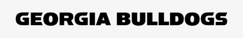 University Of Georgia Brass Tie Bar, transparent png download