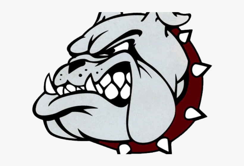 Boiling Springs High School Mascot, transparent png download
