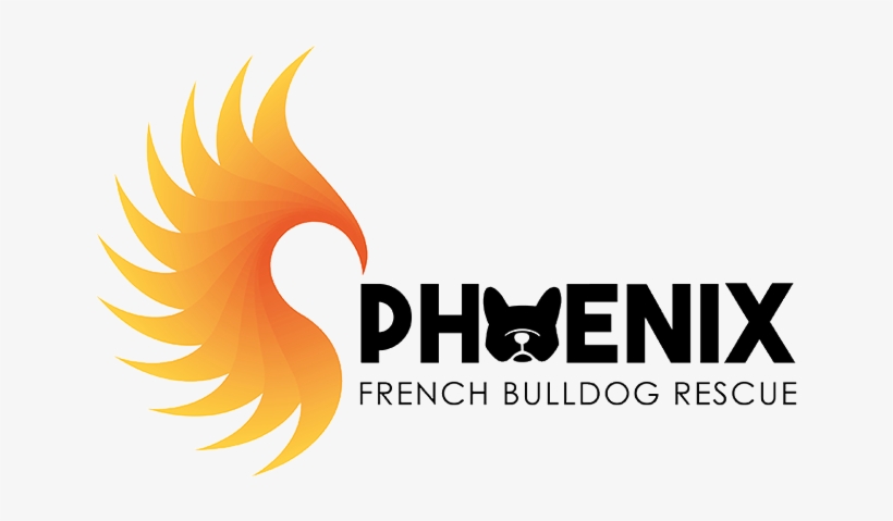 Phoenix French Bulldog Rescue, transparent png download