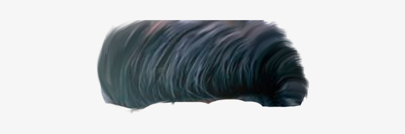 Cb Hair Png - Lace Wig, transparent png download