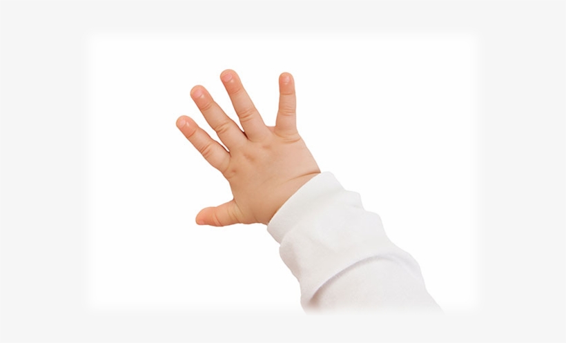 First Signs Look Similar - Ring, transparent png download