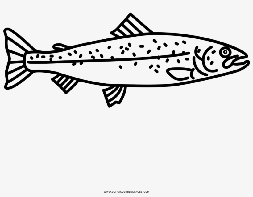 Salmon Coloring Page, transparent png download