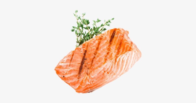 Stock Png For Free Download On Mbtskoudsalg - Salmon Grill Png, transparent png download