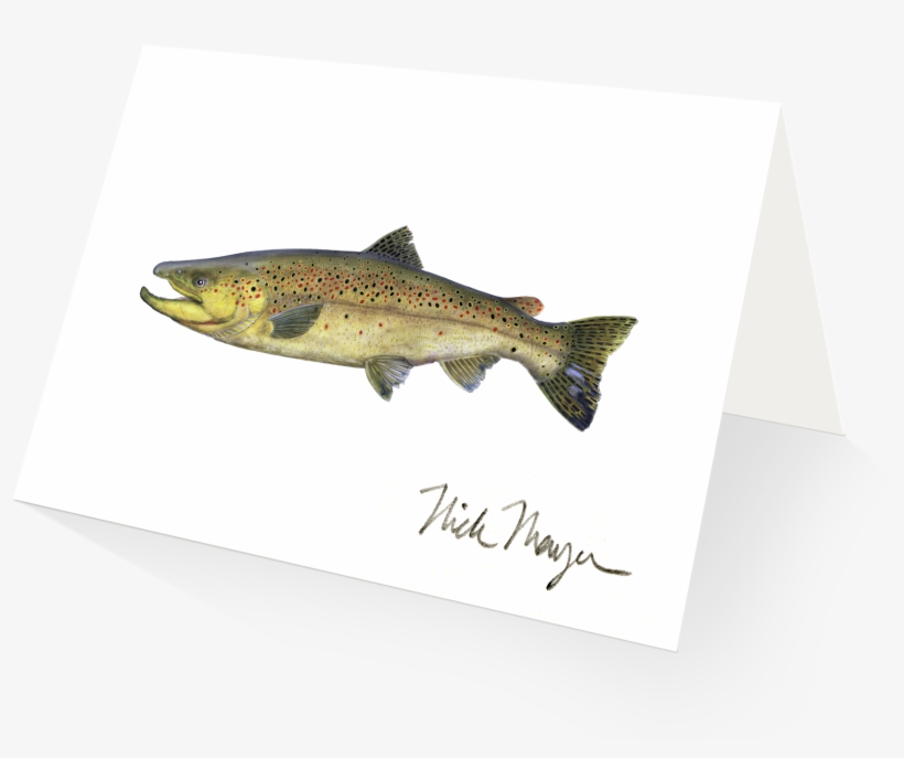 Beaver Pond Brook Trout - Brook Trout Brook Trout Brook Trout Shot Glass, transparent png download