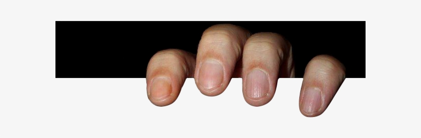 Top Part - Https - //i - Lensdump - Com/i/851pg9 - Photography, transparent png download