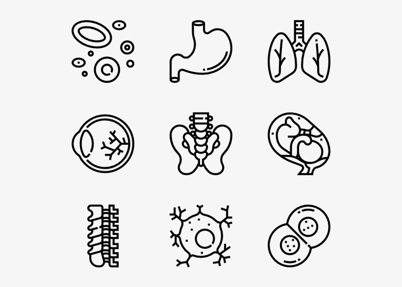 Human Organs - Hand Drawn Icons Png, transparent png download