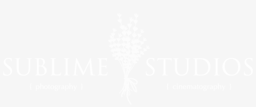 Sublime Studios - Unity Logo White Png, transparent png download