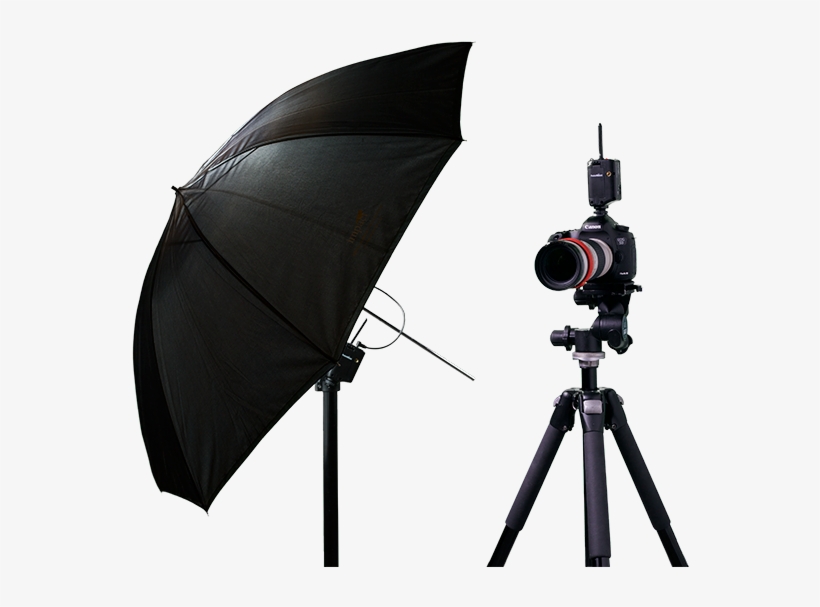 Photography - Visuals Photography, transparent png download