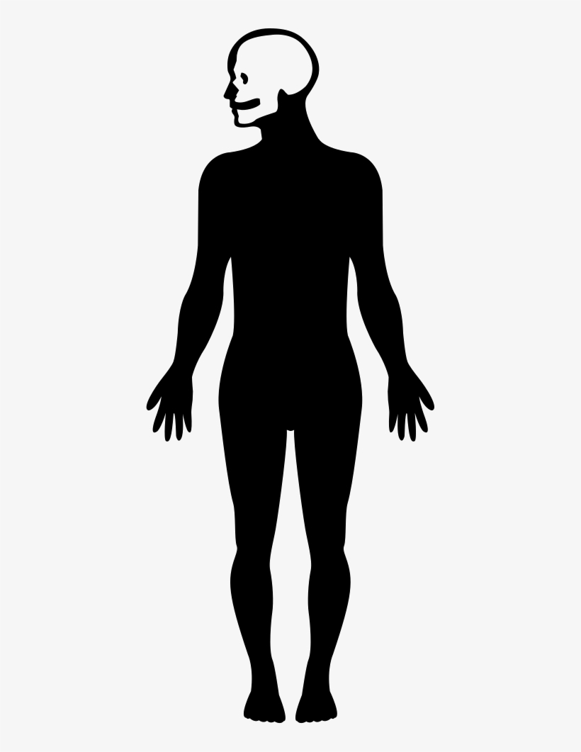 Human Body Silhouette With Focus On The Head Comments - Human Body Silhouette, transparent png download