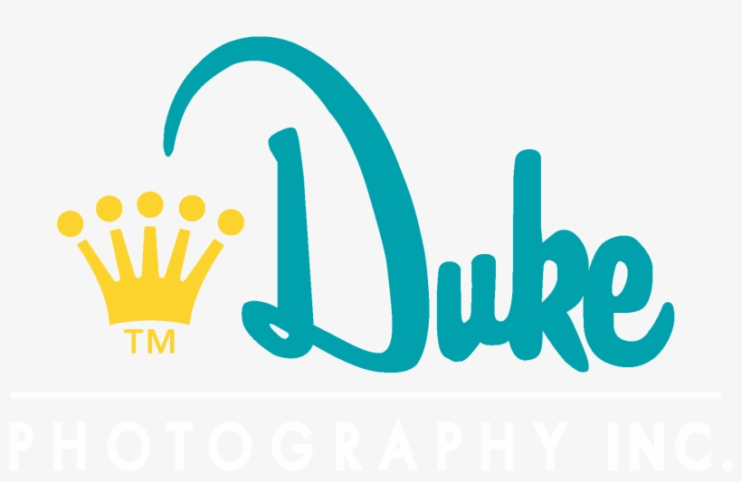 Duke Photography Phoenix Studio And Garden - Duke Photography, transparent png download