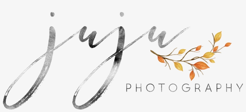 Copyright @ Juju Photography - (pkg. 25) Thanksgiving Message Cards - Thanksgiving, transparent png download