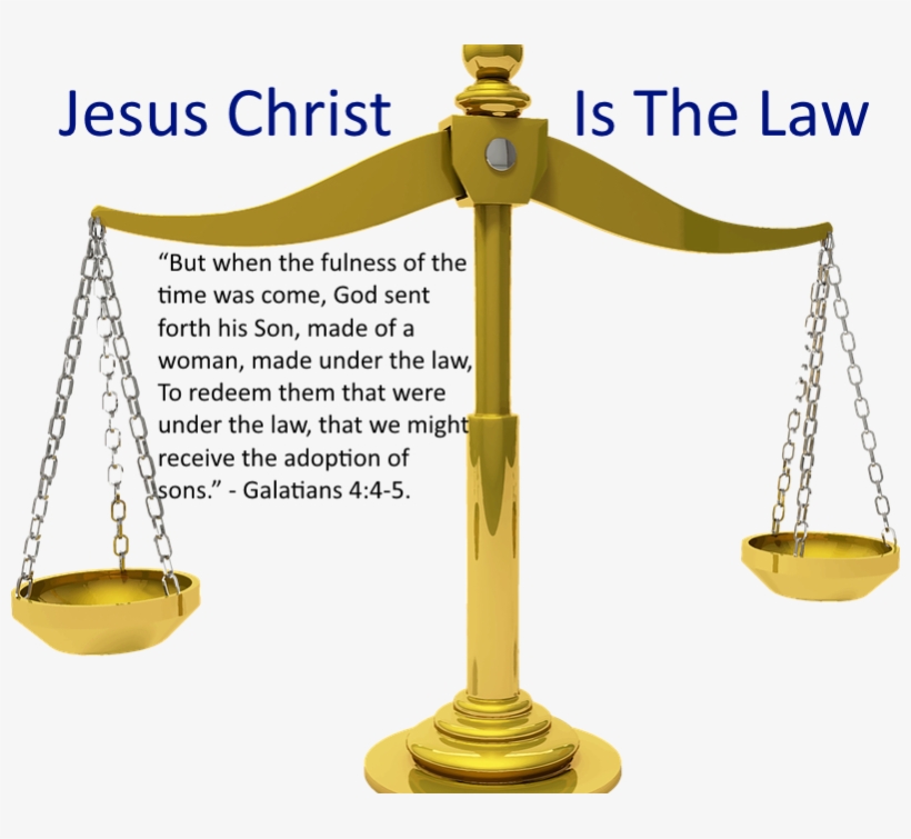Law Of Christ - Me First Living Premium Turmeric Curcumin With Black, transparent png download